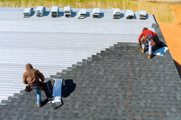 Best Metal Roofing Contractor  in St Louis, MO