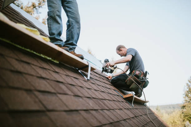 Quick and Trustworthy Emergency Roof Repair Services in St Louis, MO